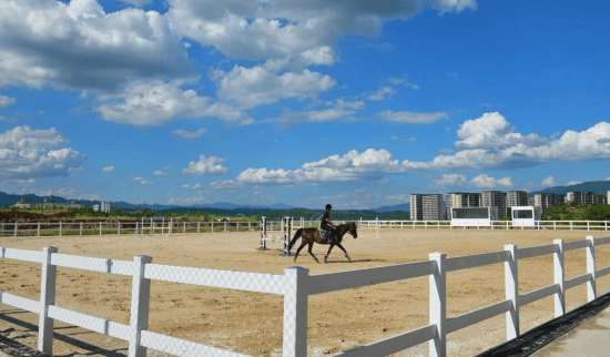 两江国際(jì)马术赛事中心正式开馆